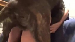 Sex dog приземистая псина оживленно сношает в пизду брюнетку видео зоо частное