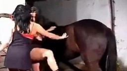 Рыжеволосая шельмочка занята сексом с лошадью на открытом воздухе