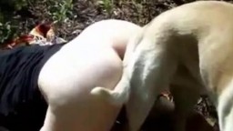 Sex dogs извращенка с потрясающей жопой пошпилилась с четырехлапым другом в лесочку зоопорно кино