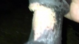 Взвинченная тварелюбка ретиво мастурбирует коню зоопорно видео скачать