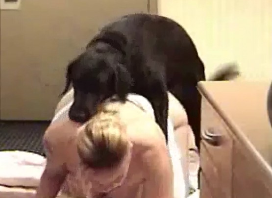 Пышнотелая блядеха с висячими сисяками отдается своей псу зоо порно видеоролик