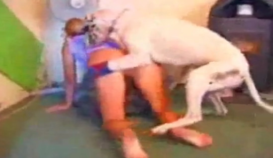 Классное зоо порно видео девушка отдается собаке в пизду